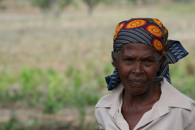 Ajuda em Ação e VIDA: juntas pela resiliência ambiental e alimentar em Moçambique